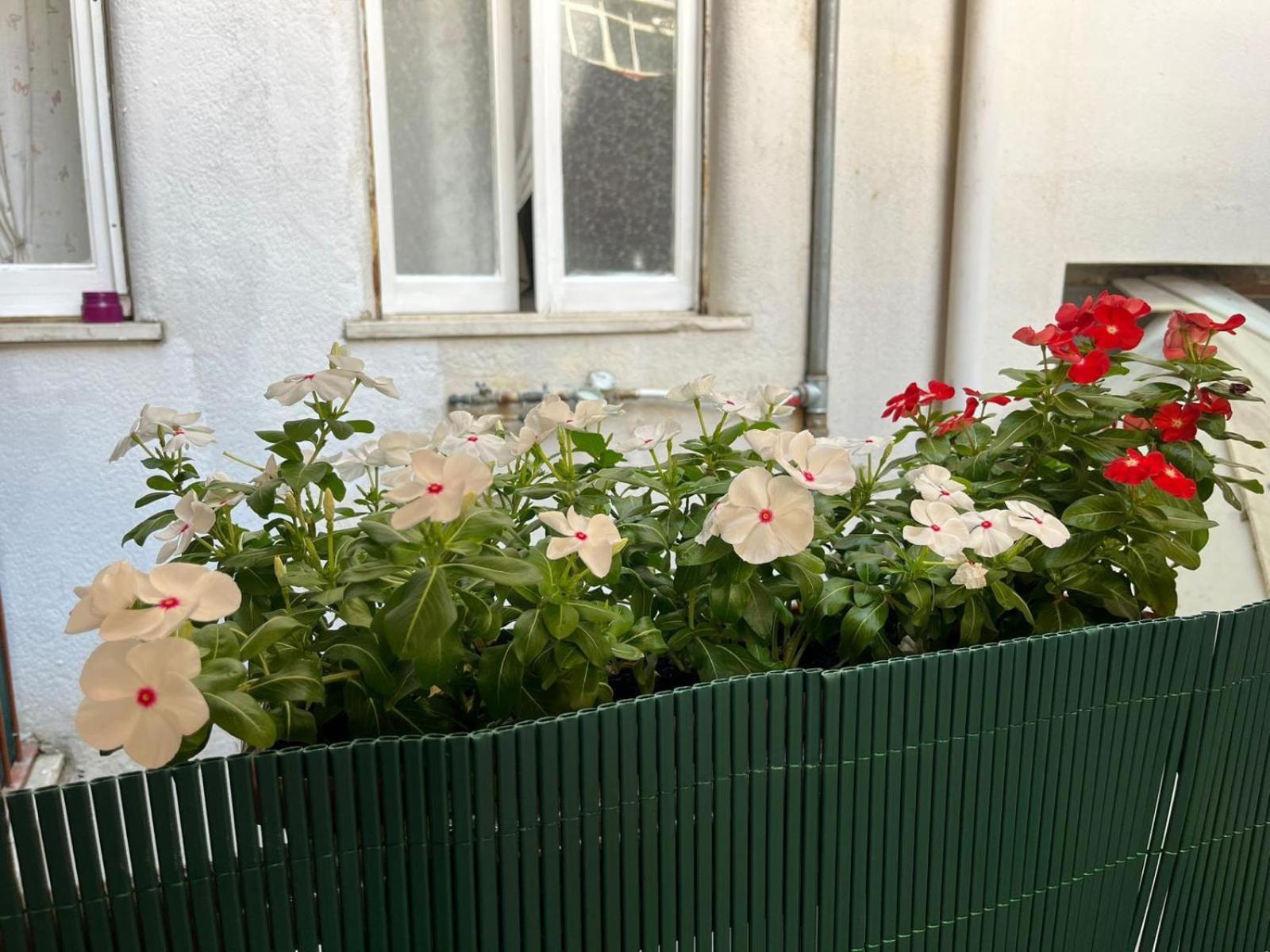 Casa Dei Nonni Di Yuri Bed & Breakfast Palermo Bagian luar foto